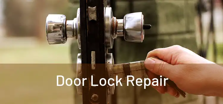 Door Lock Repair 