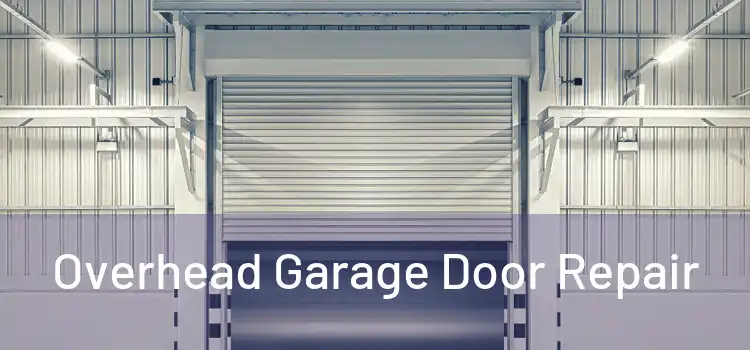  Overhead Garage Door Repair 